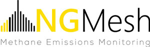 NGMesh logo