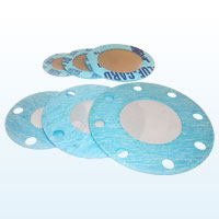 Gasket (Wafer) Strainer 