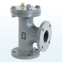 Inline Strainers