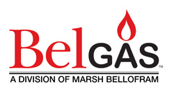 belgas regulators logo
