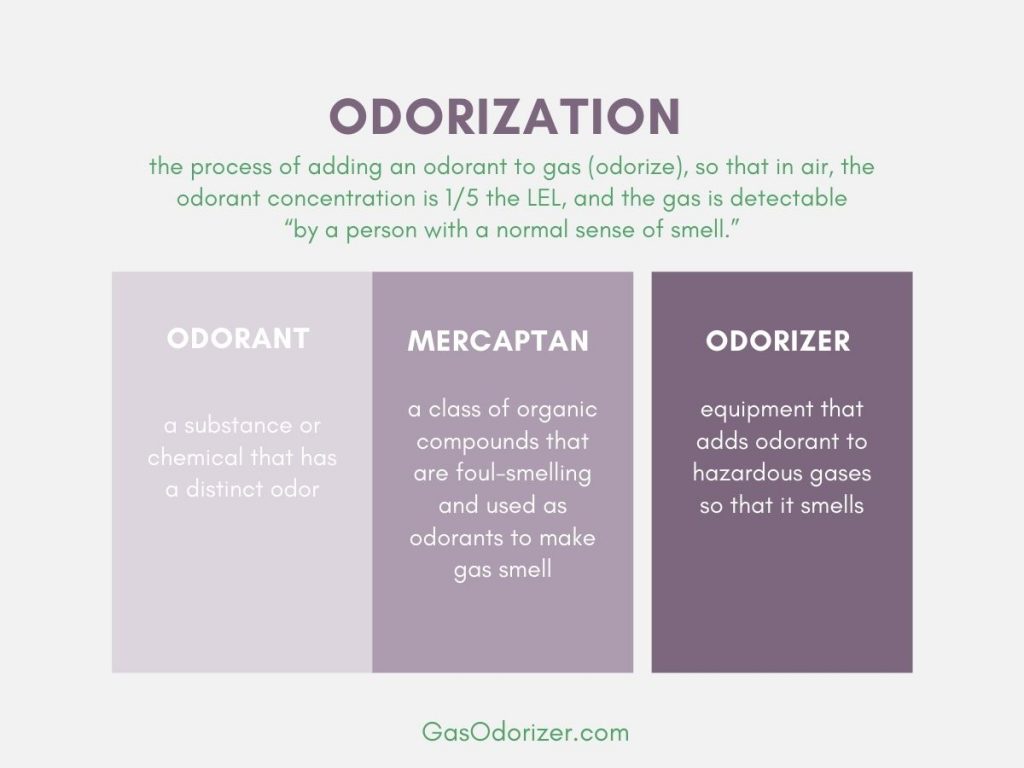 odorization terminology infographics