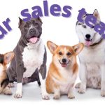 our sales team