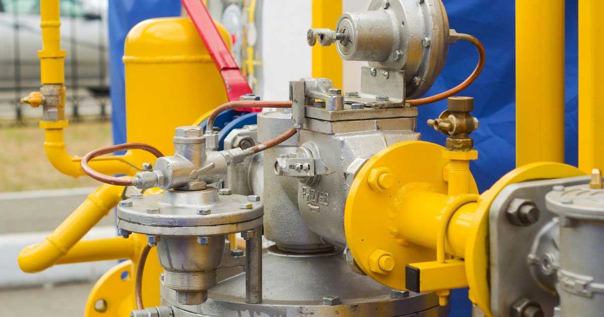 Gasket Strainer Options include Garlock Blue Guard & QuadRing