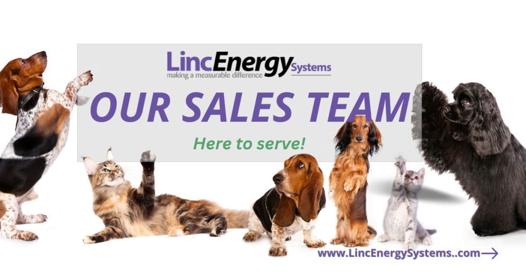 sales team at linc energy systems: Garret Cox, Brian Cox, Lucas Cox, Jake Martinez, preston marcoux, kevin clark