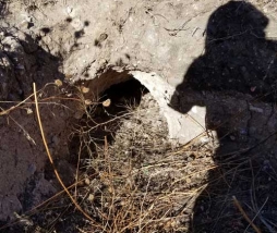What is Pipeline Patrolling?