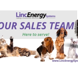Meet Our 2024 Sales Team